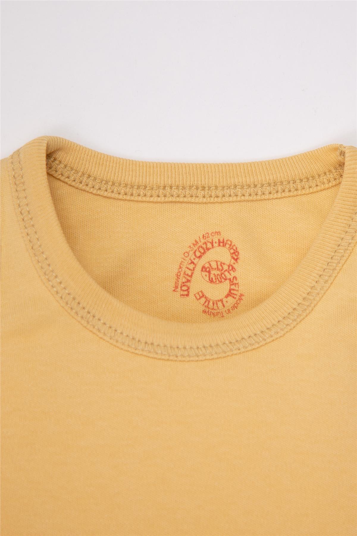 Bebetto ATLET BODY 5Lİ (ALWAYS 40/1 İNTERLOK) HARDAL fotoğrafı 3 (önizleme)