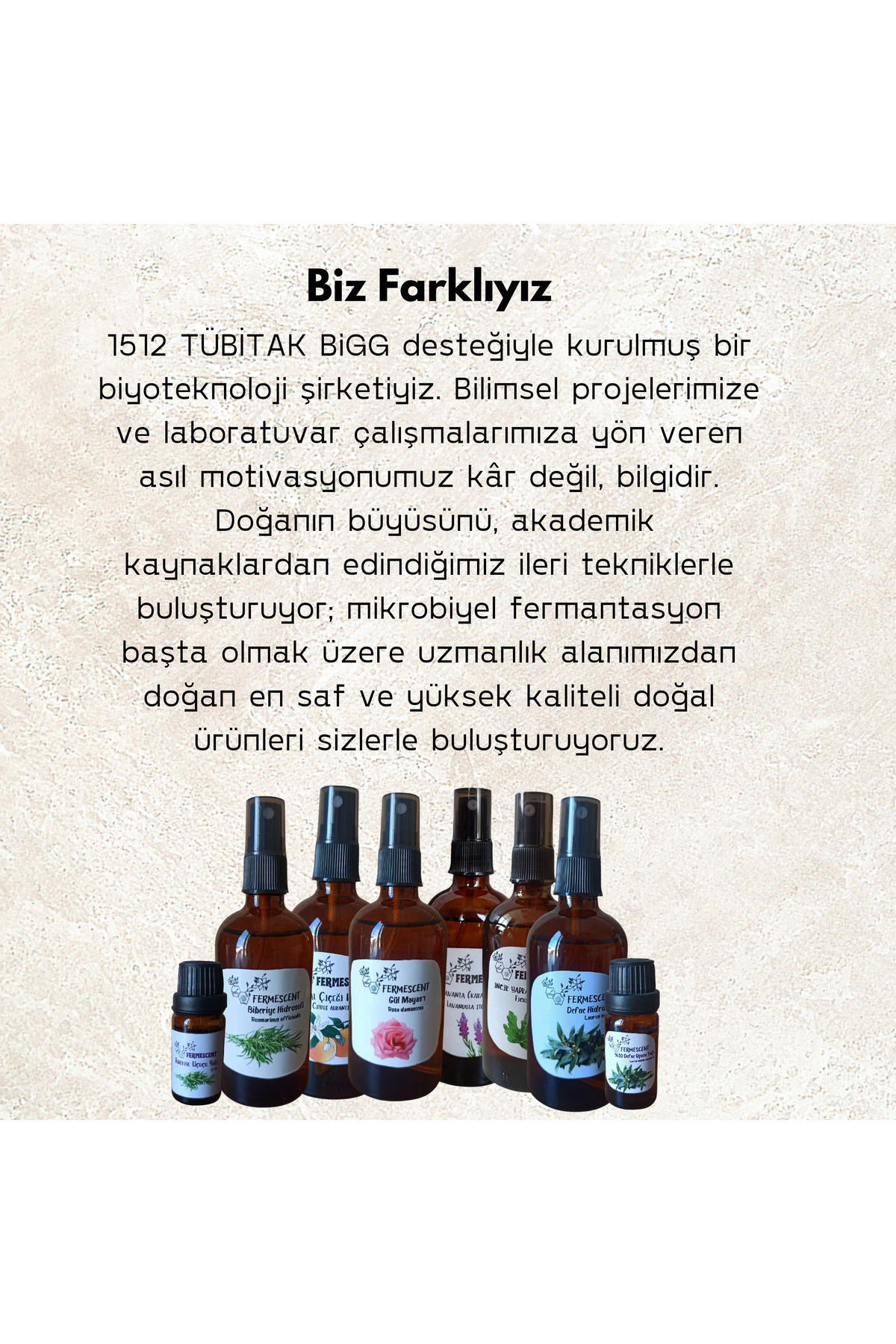 Kedi Otu Suyu Hidrosolü Kedi ve Köpekler İçin Doğal Bakım Toniği 100 ml — 3535070708 — تصویر 7 از 8
