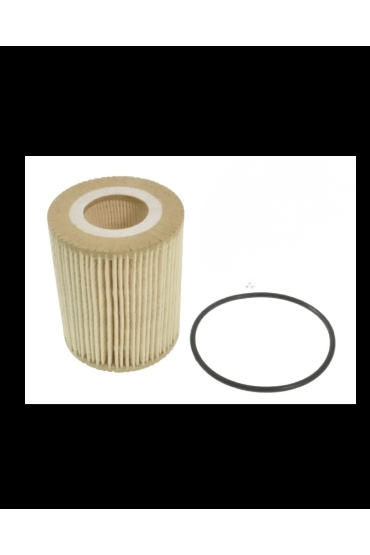 BLUEPRINT Land Rover Yağ Filtresi L-Rover