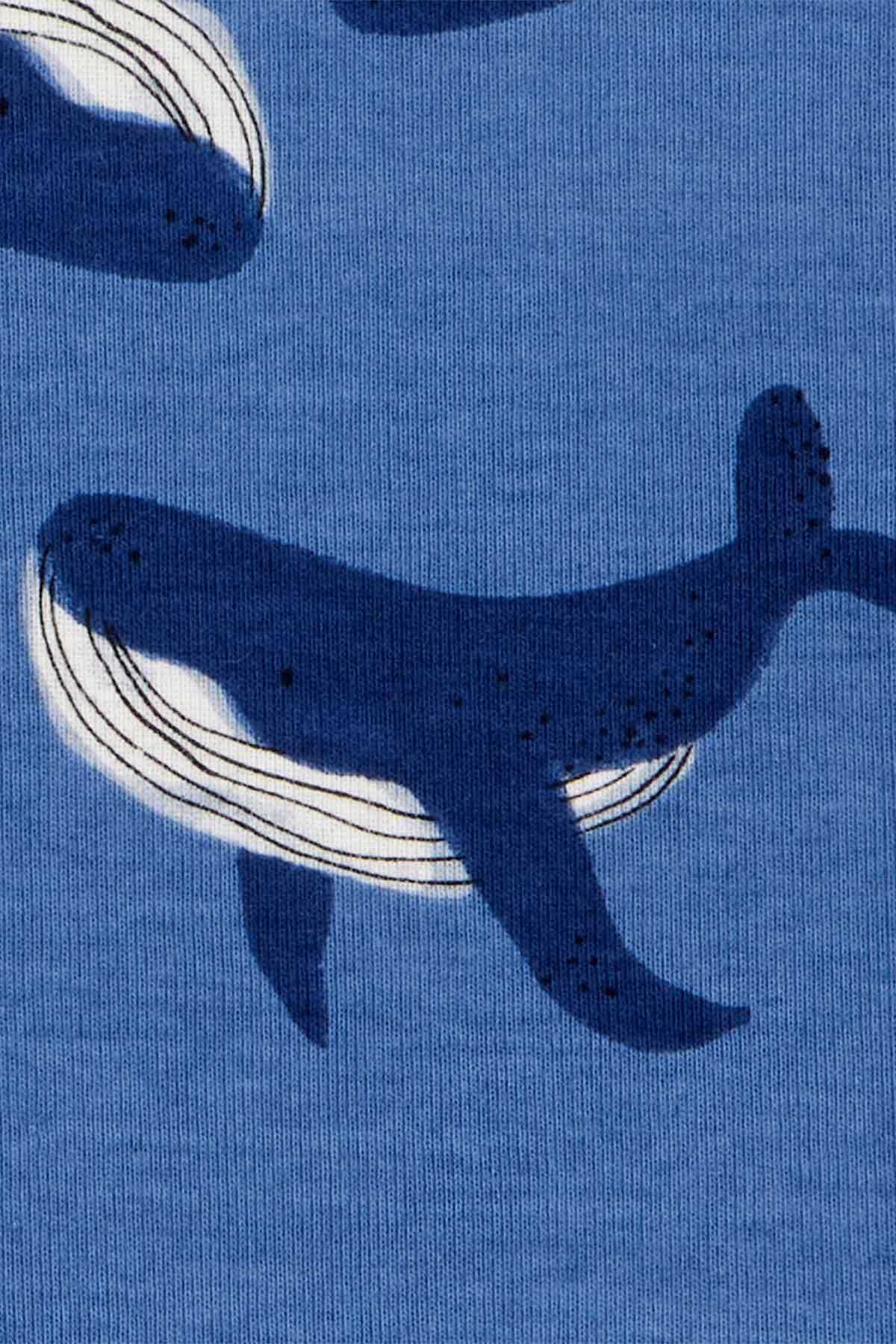 Carter's Erkek Bebek Pijama Set 4'lü Paket fotoğrafı 2 (önizleme)