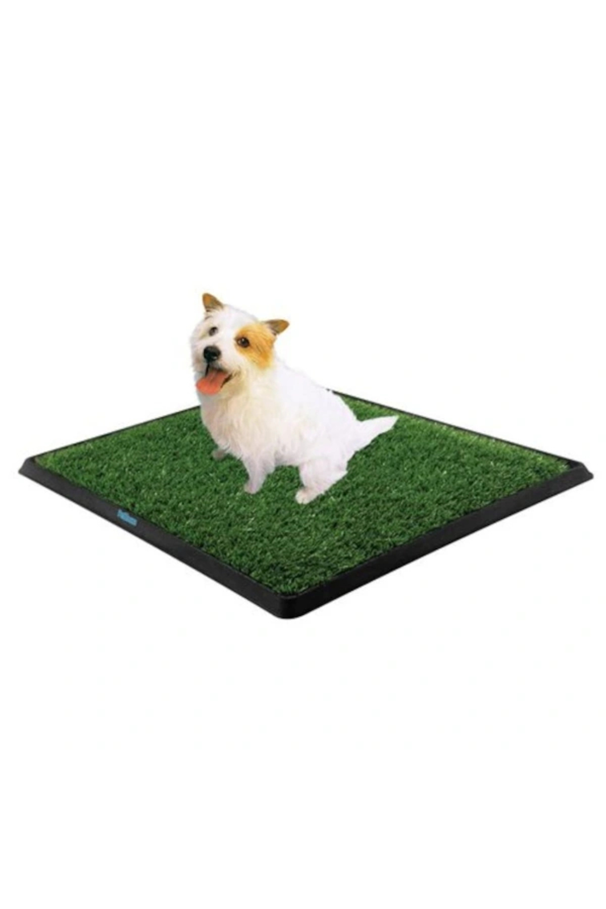 Go İthalat Köpek Tuvalet Eğitim Seti