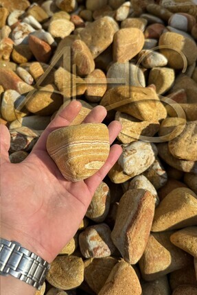 AHS Sarı Çizgili Rainbow Dolomit Çakıl Taşı 6-10 Cm 5 Kg Dekoratif Bahçe Peyz...