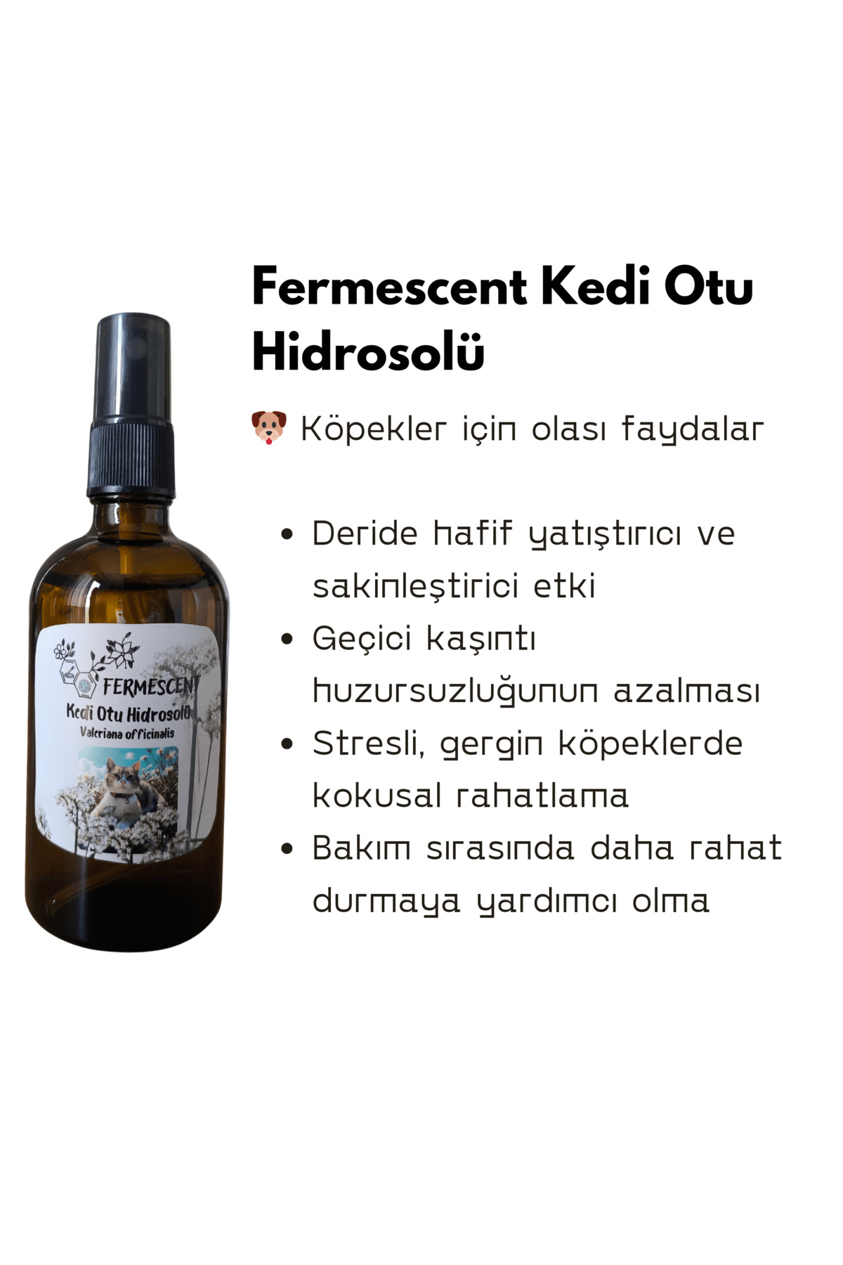 Kedi Otu Suyu Hidrosolü Kedi ve Köpekler İçin Doğal Bakım Toniği 100 ml — 3535070708 — تصویر 4 از 8