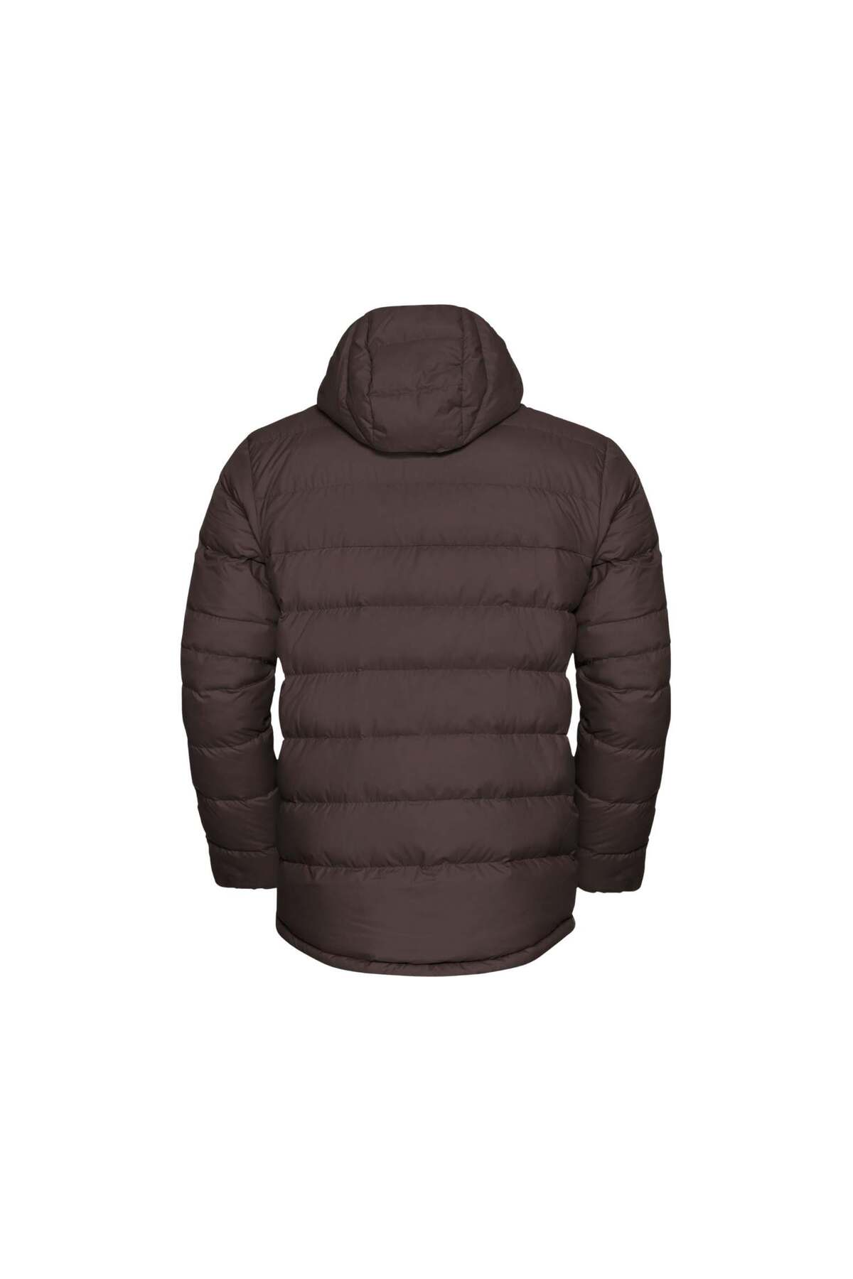 کاپشن مردانه Ather Down Hoody M Rd 1207671_D0108