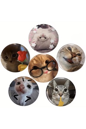 Fivy 6’lı Sarkastik Komik Kedi Rozet Seti