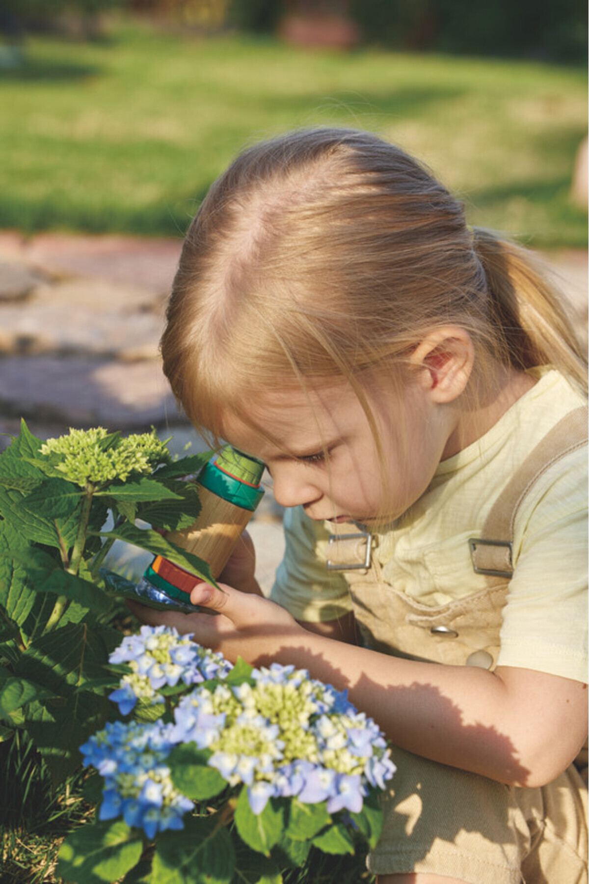 میکروسکوپ میدانی بامبو Nature Fun ۶ عددی