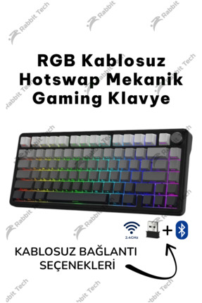 Rabbit Tech Black Gradiant RGB Kablosuz Hotswap Mekanik Gaming Klavye Oyuncu ...