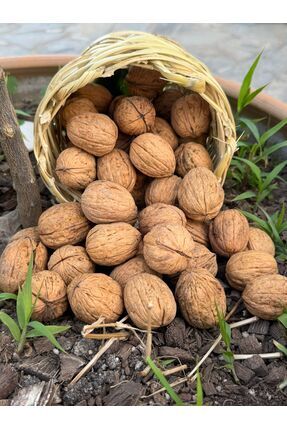 Şirince pazarlama İnce Kabuklu ceviz (1KG)