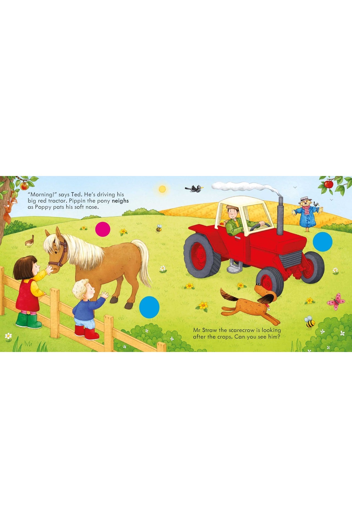 Usborne Carte pentru copii - Poppy and Sam's Farm Animal Sounds