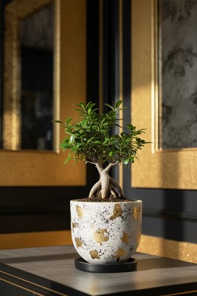 EL YAPIMI Special Series Dekoratif Orta Boy(1,5LİTRE) Beton Saksı Tabak Ağaç ...