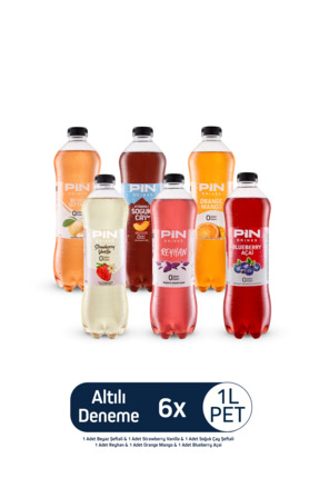 Pin Soğuk Çay Deneme Paketi 6 Adet 1 Litre Ice Tea