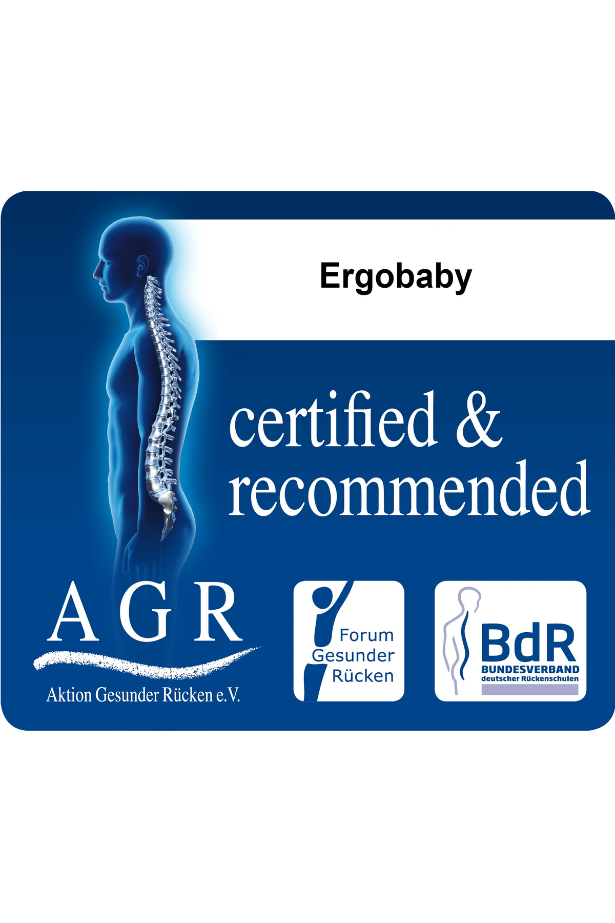 Ergobaby Omni Dream (Onyx Black) , 4 Farklı Taşıma Pozisyonlu Ergonomik Kanguru, 0-4 Yaş Yeni Doğan fotoğrafı 4 (önizleme)