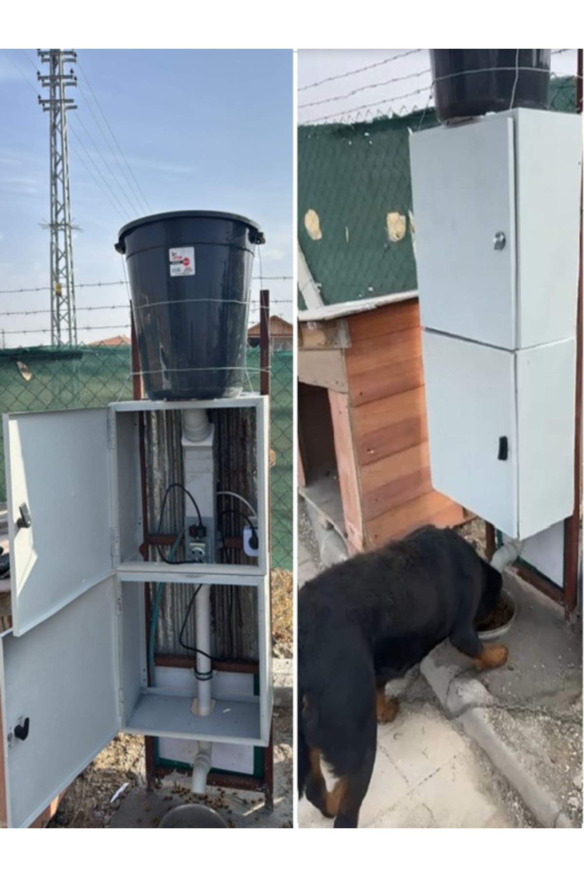 Home Otomatik Köpek Mama Makinesi fotoğrafı 6 (önizleme)