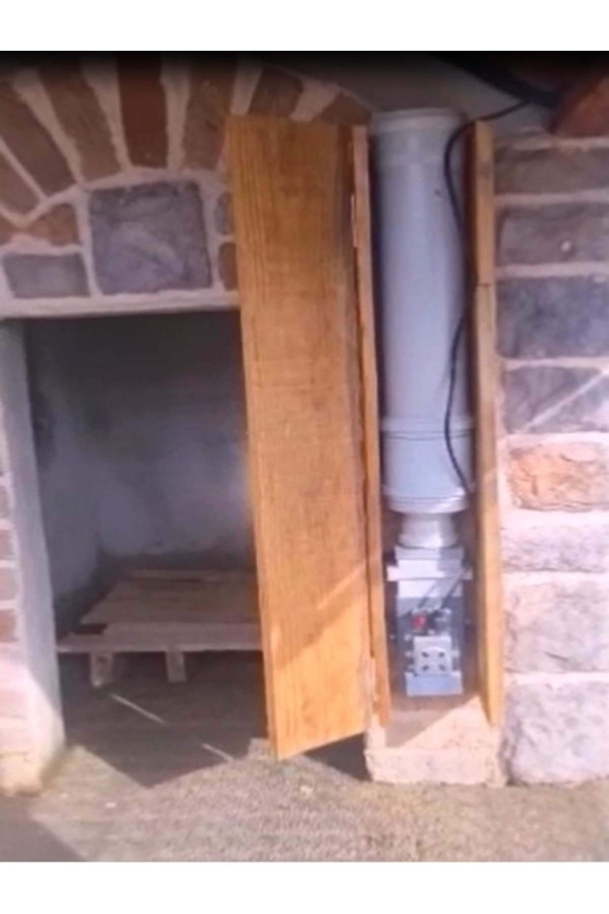 Home Otomatik Köpek Mama Makinesi fotoğrafı 7 (önizleme)