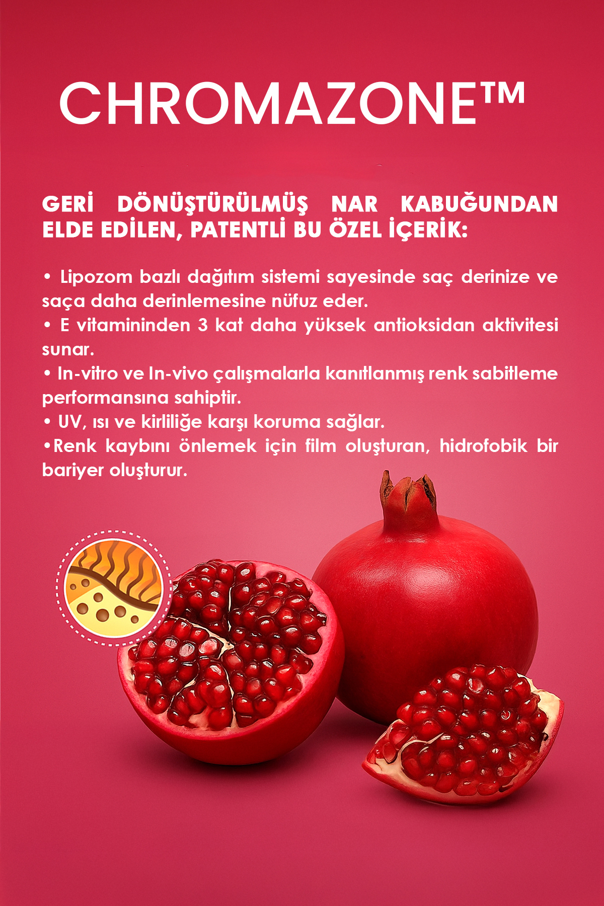 Longevity - Boyalı Saçlar için Saç Bakım Maskesi - Nar Pigmentli Boya Koruma - Sülfatsız 250 ml — CL003 — تصویر 3 از 5