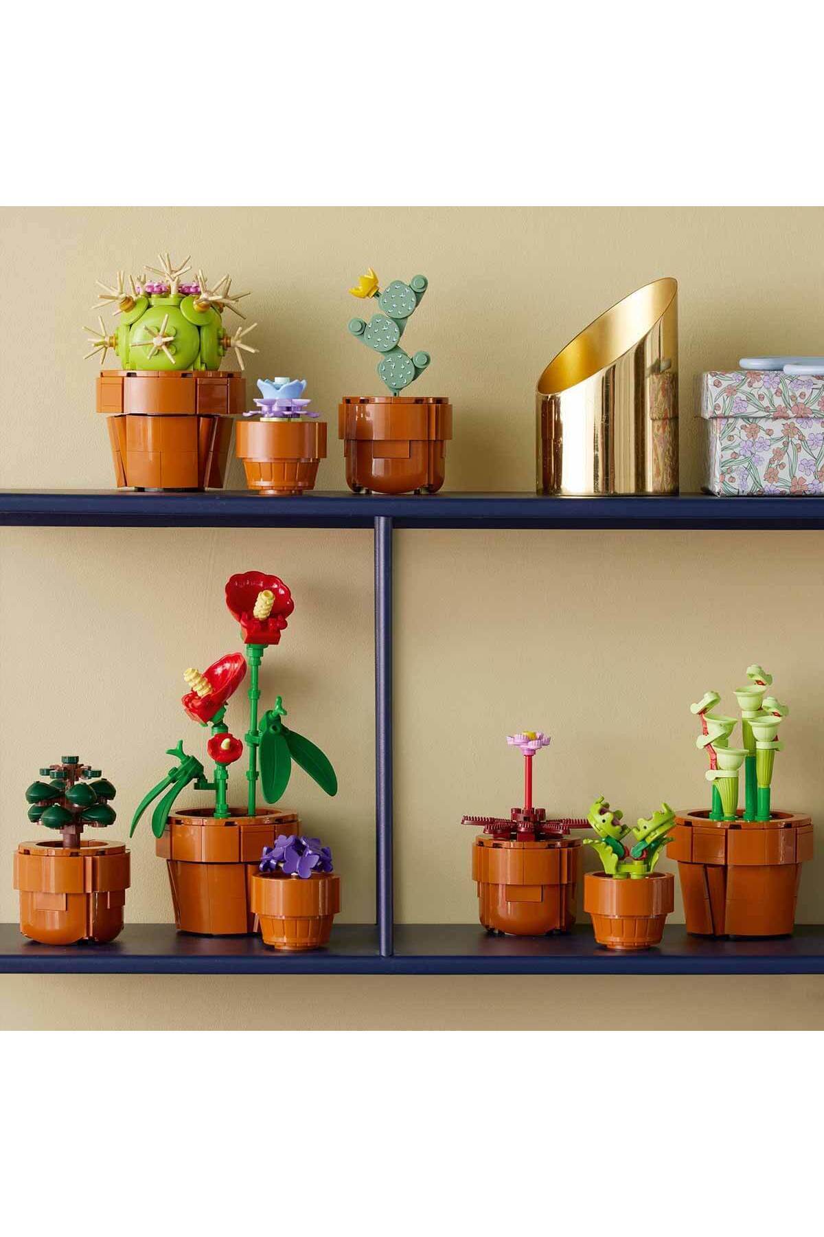 مجموعه گیاهشناسی ۱۰۳۲۹ گیاهان کوچک اسباببازی ساختنی