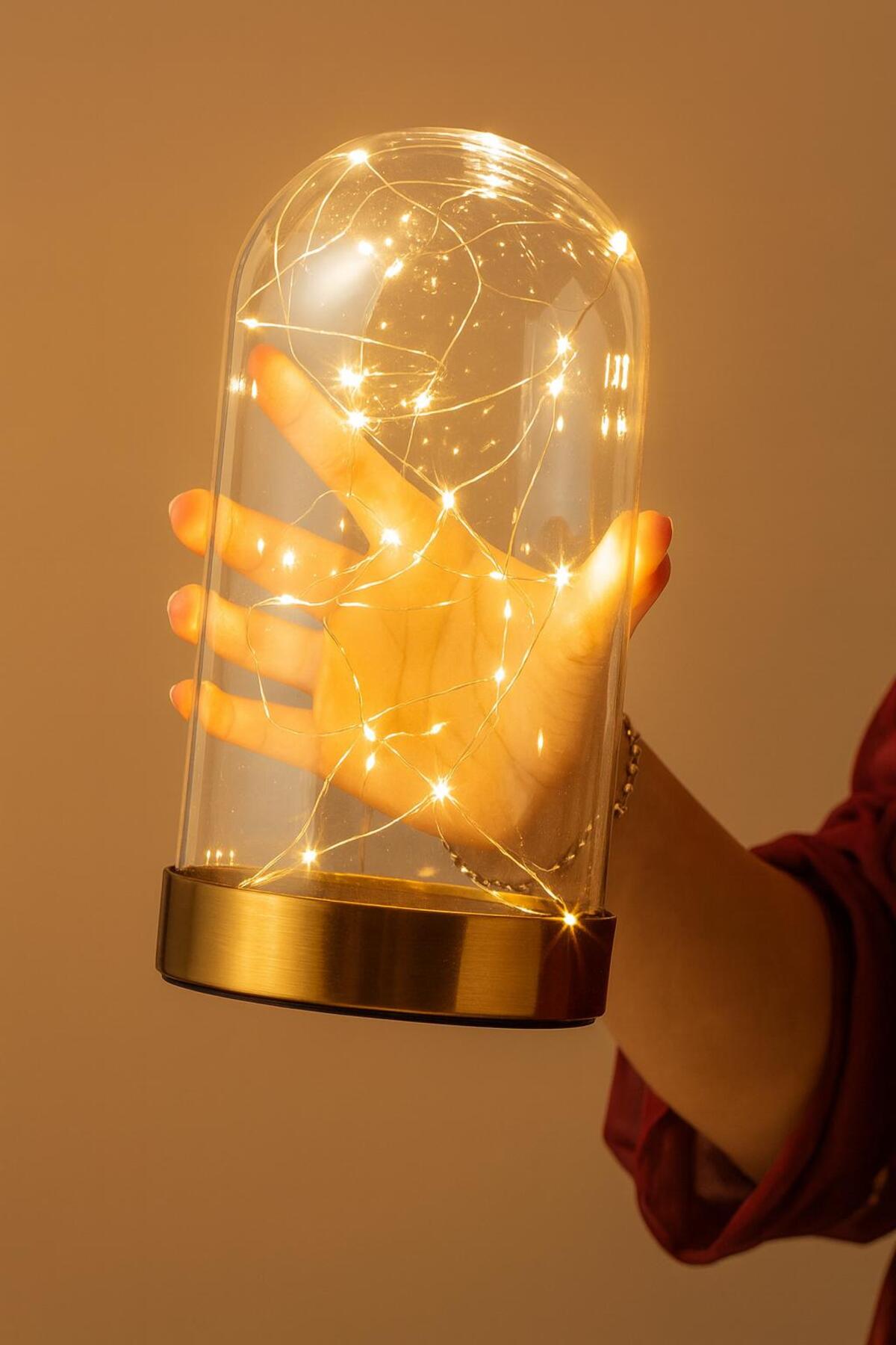 Led Illuminated Gold Mica Reverse Fanus 2 Meters Fairy Wire Daylight Gold Terrarium
