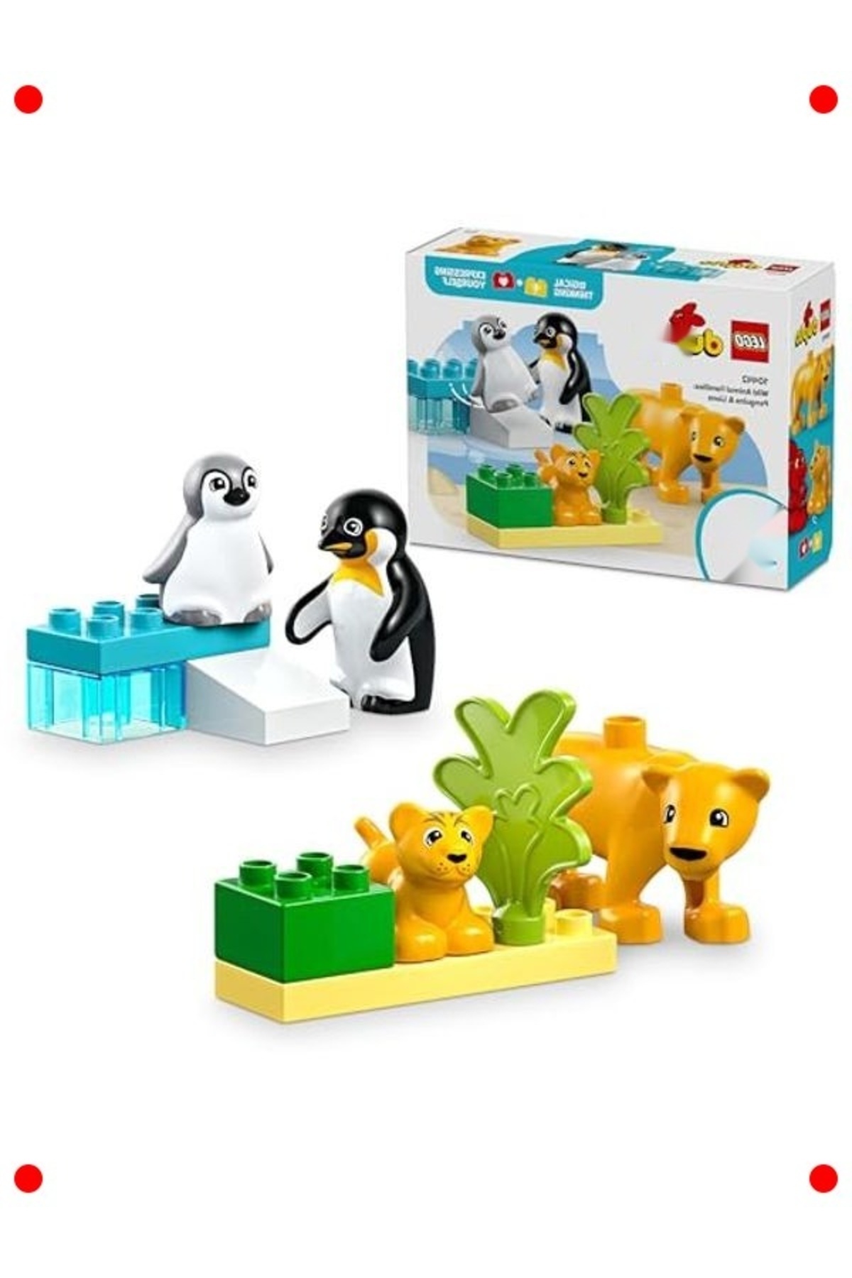 مجموعه ساختنی خانواده‌های وحشی هوان (۱۰ تکه)