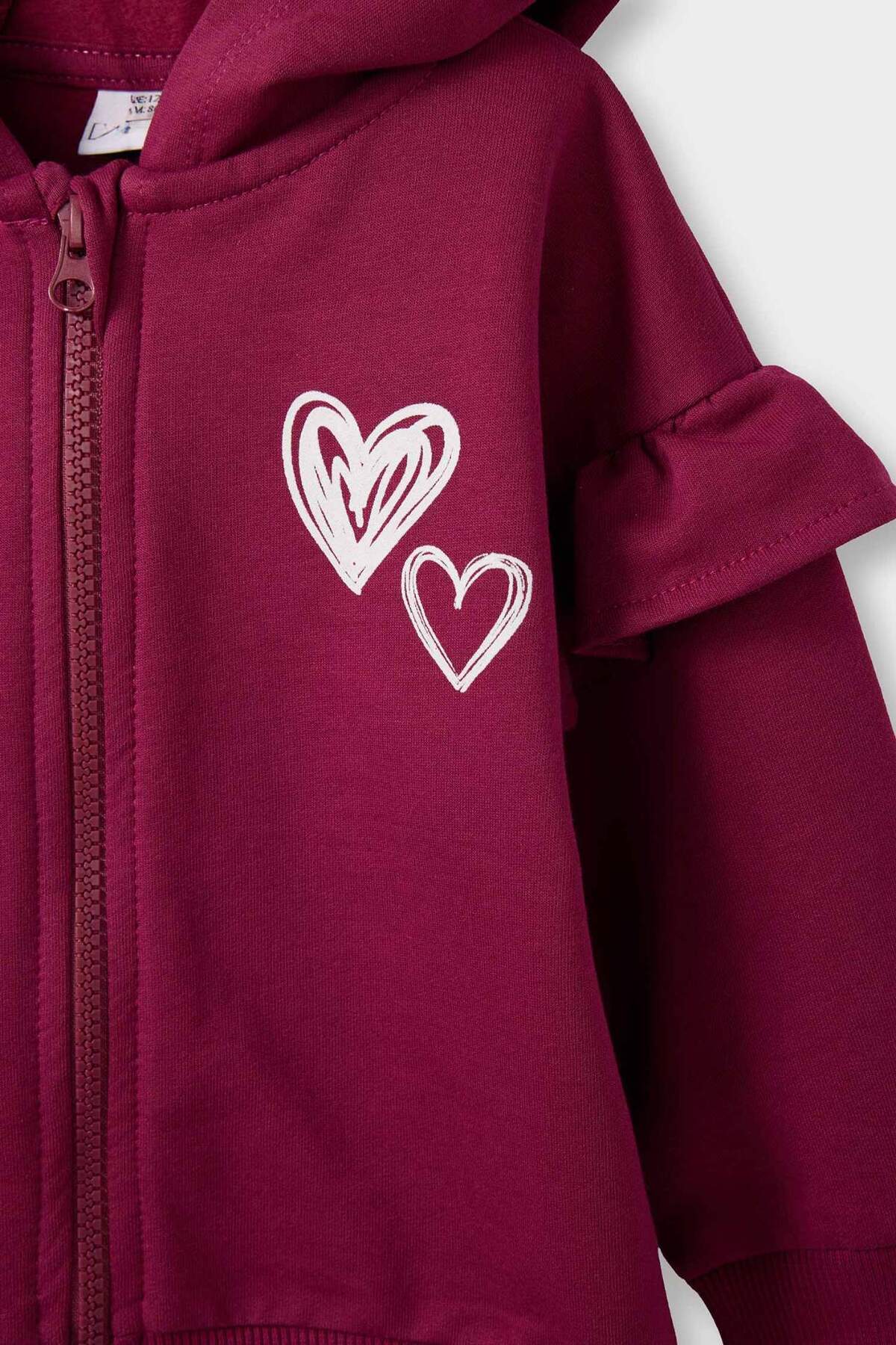 Defacto Kalp Desenli Kapüşonlu Fermuarlı Sweatshirt Kız Bebek G1632A525WN fotoğrafı 2 (önizleme)