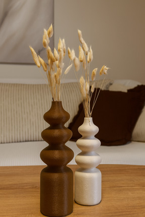 Vemia Dekor 2'li Organik Formlu Dalgalı Bohem Iskandinav Minimal Biblo Vazo Seti