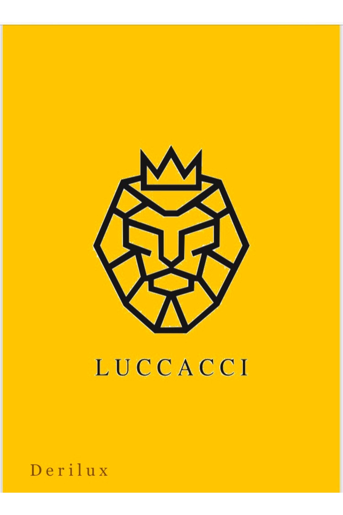 Arı Deri  Luccacci Deri Erkek El Çantası ,Seyehat Çantası,Para Portföy 22x12x10 Cm - Görsel 5