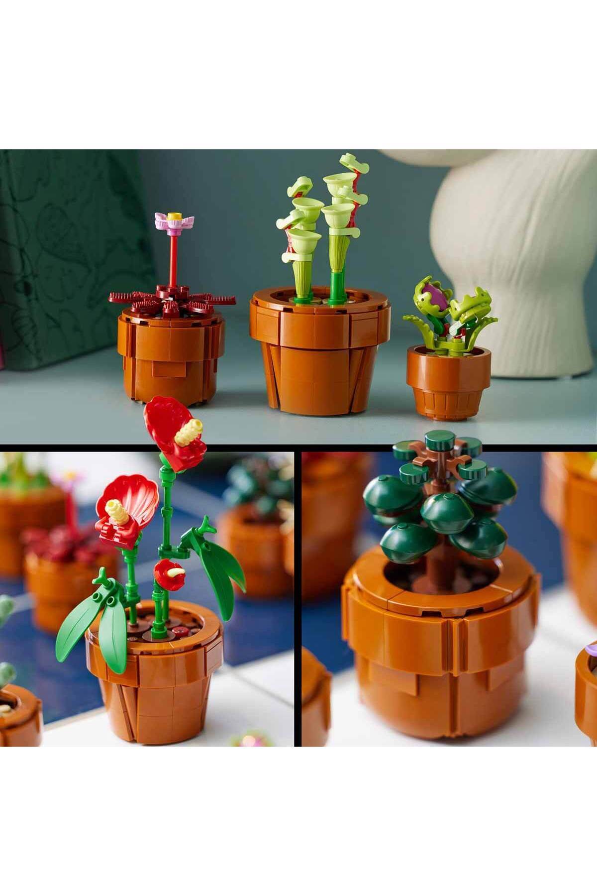 مجموعه گیاهشناسی ۱۰۳۲۹ گیاهان کوچک اسباببازی ساختنی