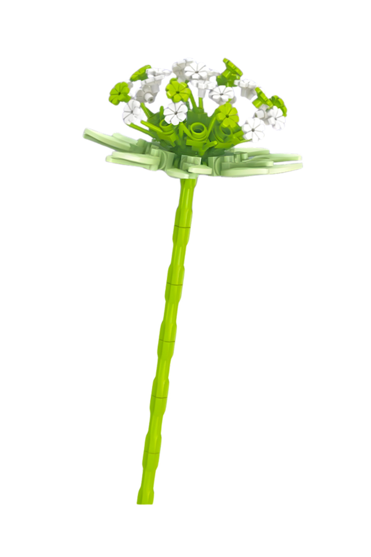 مجموعه گیاهان، بلوک گلفروشی، آسترانتیا ماژور 8856، ۱۰