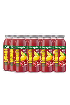 KUZEYDEN Narlı Limonata | 12x250ml | İlave şeker, katkı ve koruyucu madde içe...