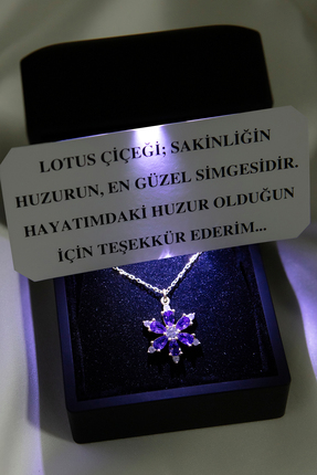 SARIASLAN Işıklı Kutu Ametist Taş Lotus Kolye 925 Ayar Komple Gümüş 14 Ayar A...