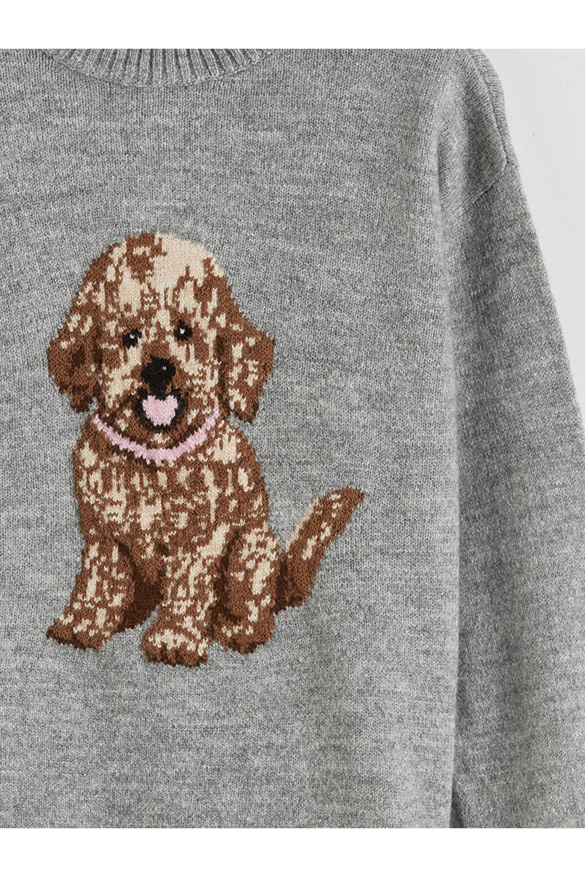 LC Waikiki Gri Bisiklet Yaka Desenli Kız Çocuk Triko Kazak fotoğrafı 3 (önizleme)