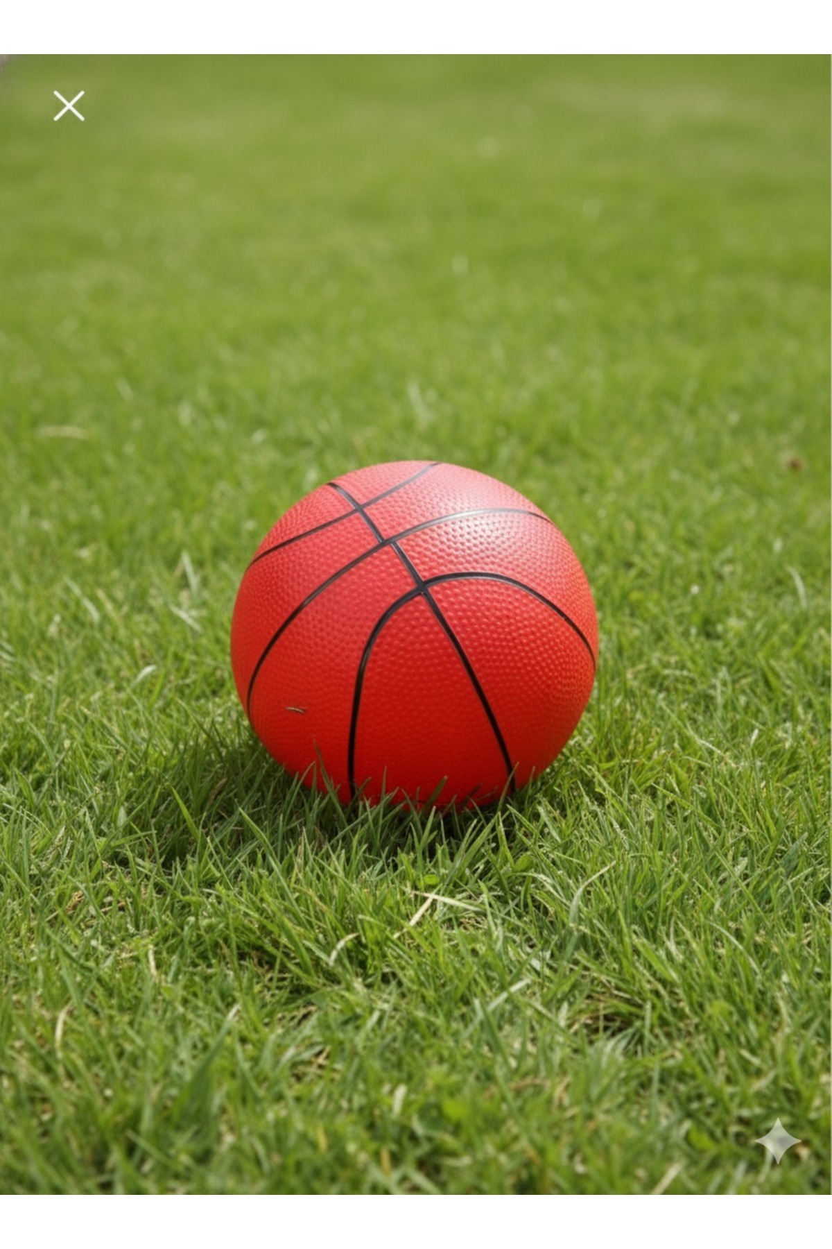 Özdemir Toys Tek küçük basket topu