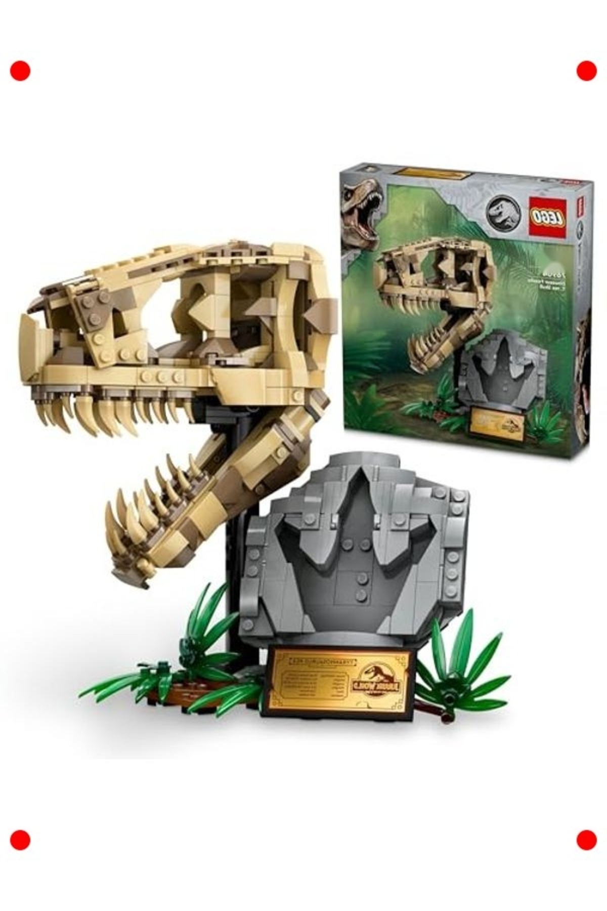 مجموعه ساخت ماکت فسیل جمجمه دایناسور (مدل نمایشگاهی)