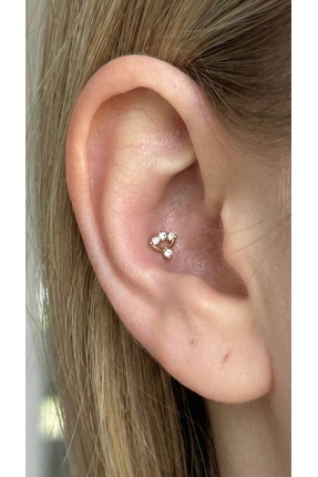 alysa jewelry Cerrahi Çelik şık zirkon taşlı Piercing, Tragus heliks lobe conch
