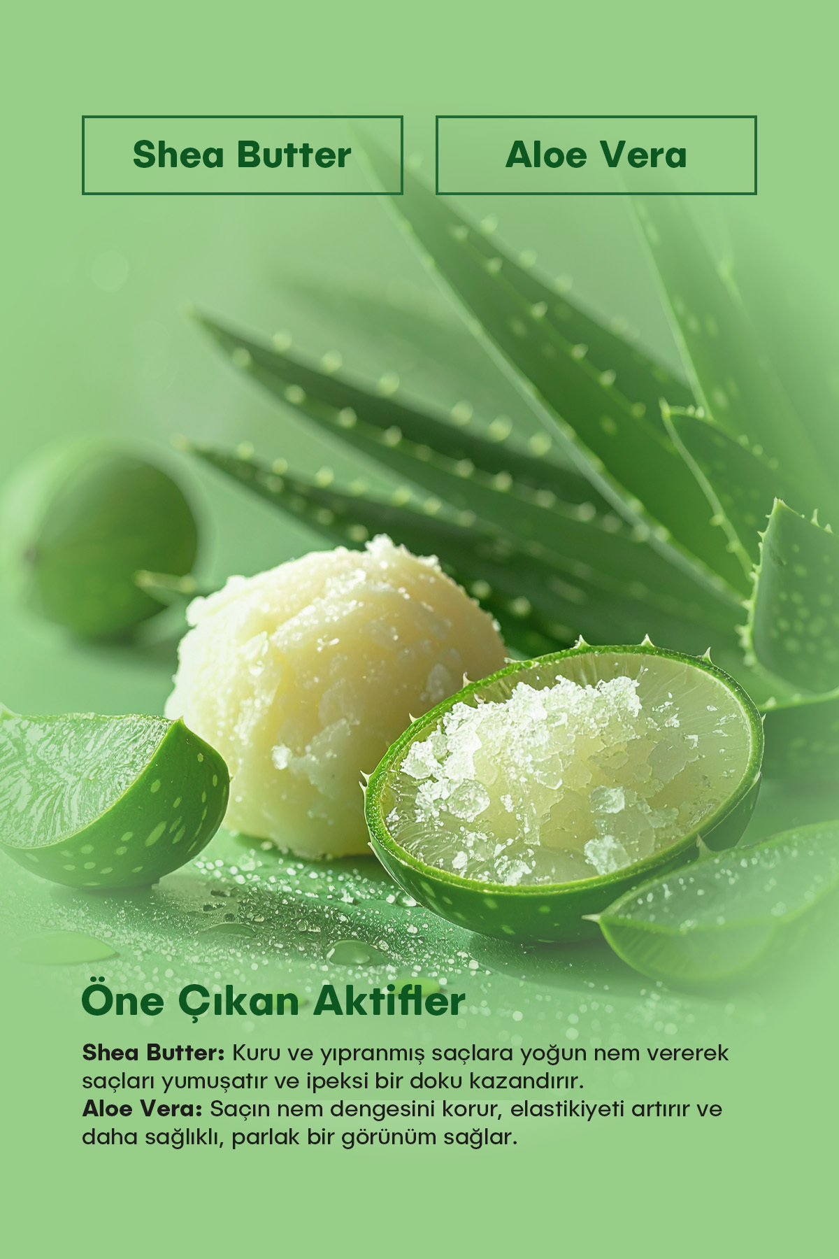 Cremask Durulanmayan Tüm Gün Etkili Saç Kremi 250 ml — EXP-008 — تصویر 4 از 5