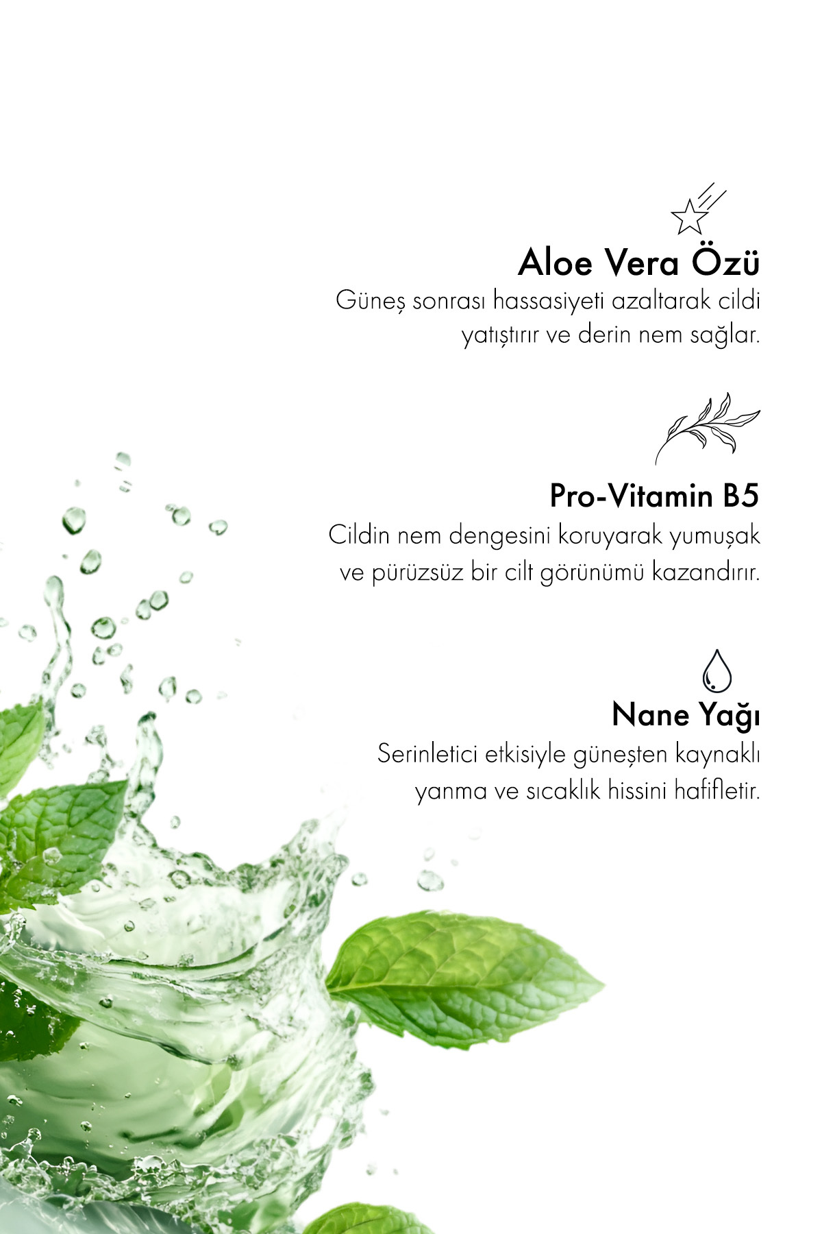 Güneş Sonrası Vücut Losyonu Aloe Vera Ve Nane Ekstraktı Içeren After Sun Body Lotion 200 ml — GLK-061 — تصویر 5 از 6
