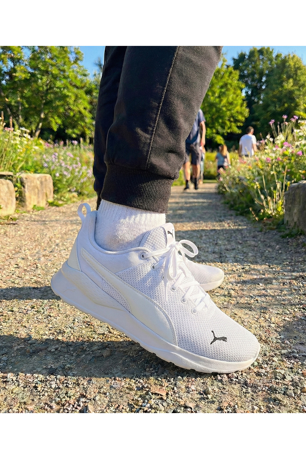 پوما کفش ورزشی راحتی آنزارون لایت تی دی پی یونیسکس، کفش کتانی رنگارنگ