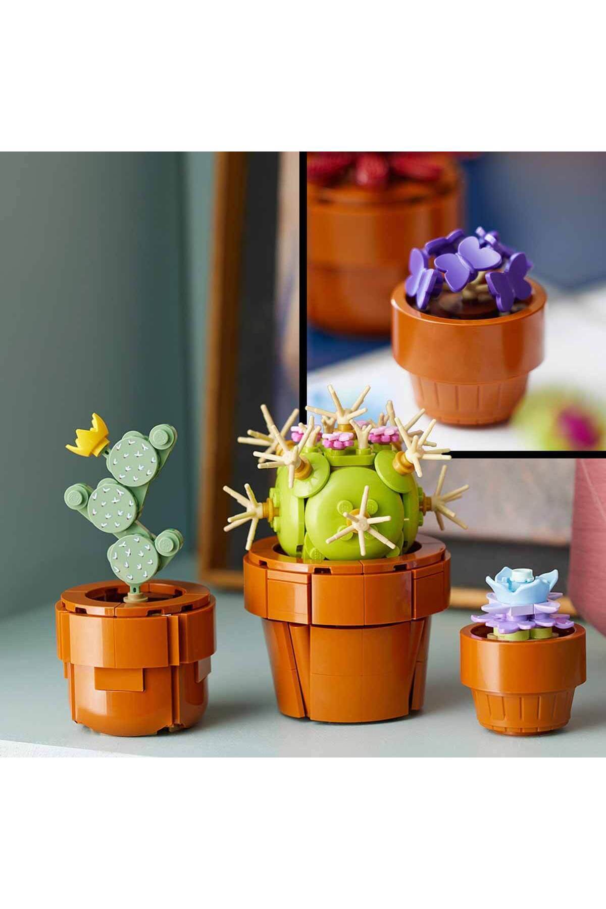 مجموعه گیاهشناسی ۱۰۳۲۹ گیاهان کوچک اسباببازی ساختنی