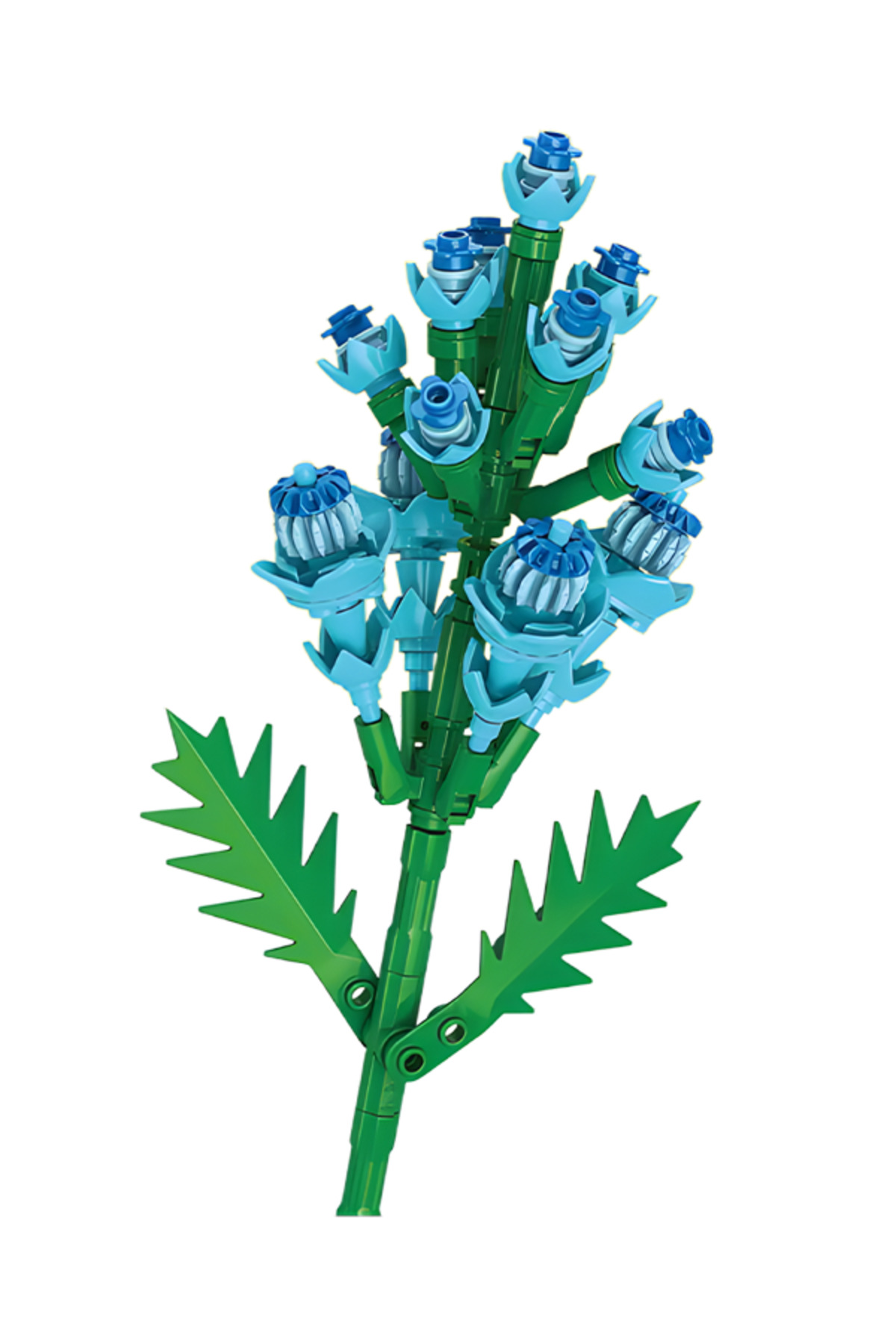 مجموعه گیاهان، بلوک گل‌فروشی، آفتیمون بدبو 8856 3