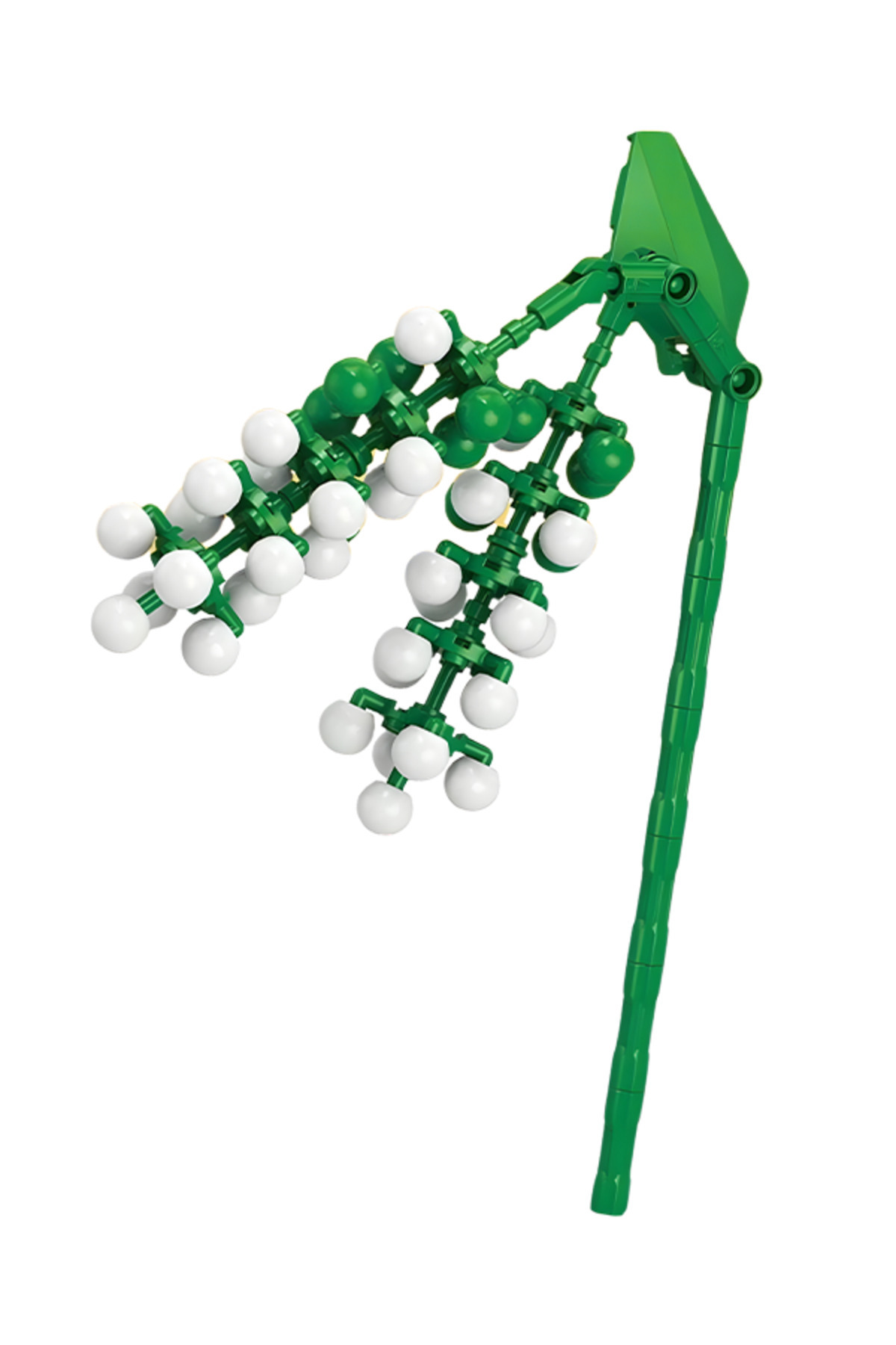 مجموعه گیاهان، بلوک گلفروشی، فیتولاکا آسینوزا ۸۸۵۶ ۵