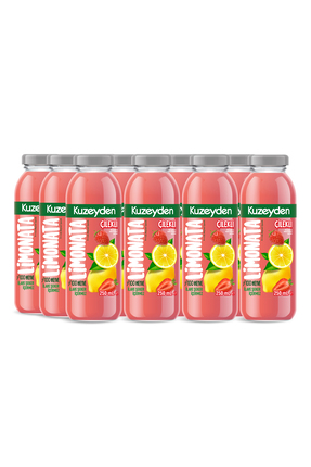 KUZEYDEN Çilekli Limonata | 12x250ml | İlave şeker, katkı ve koruyucu madde i...