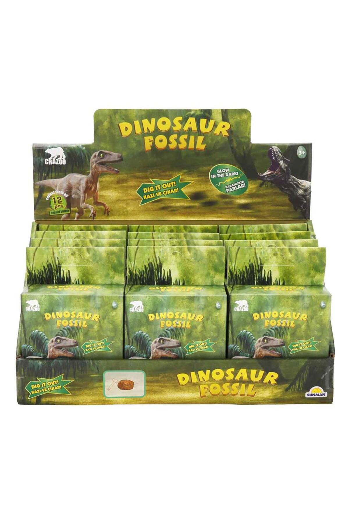 Sunman S00003202 RST-CRZ-KAZI SET FOSİL DİNOZOR 12D- SUN - Fiyatı