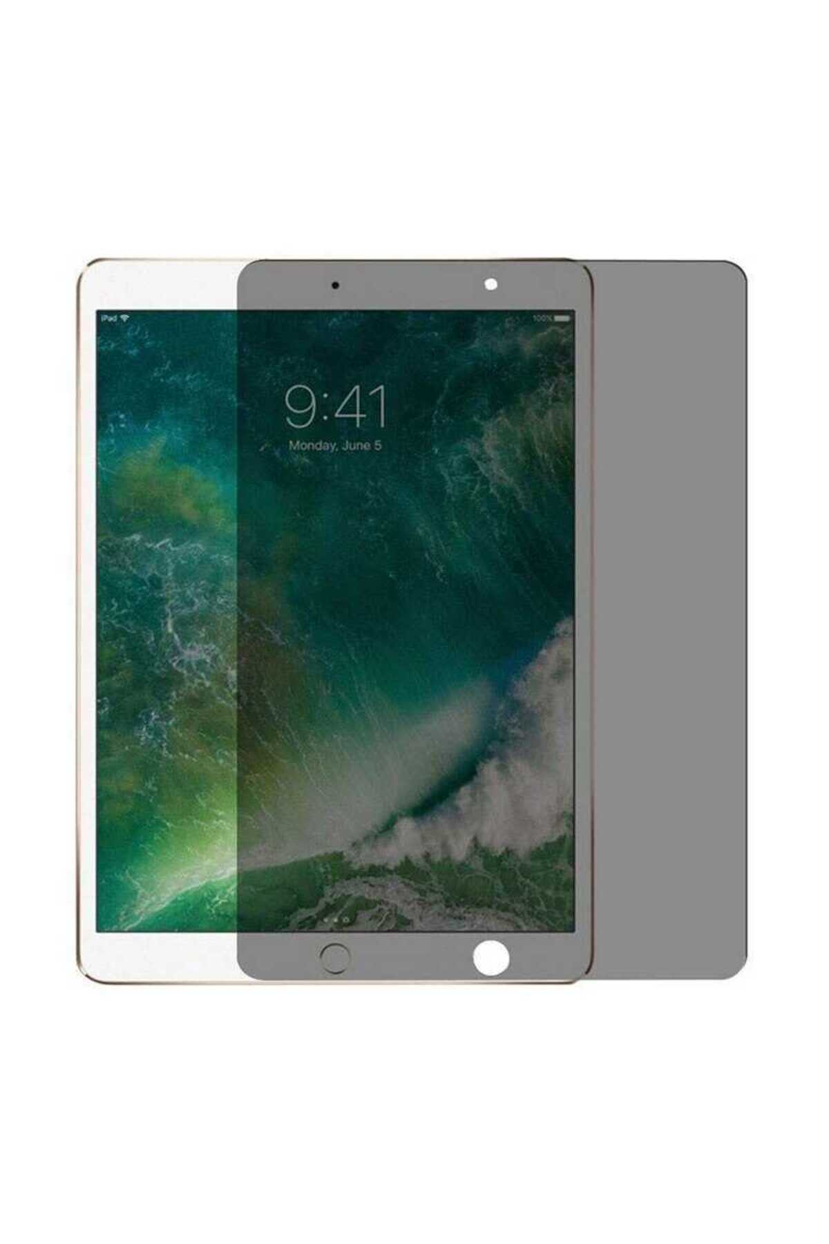 iPad 10.2 2021 (9.Nesil) Uyumlu JoieCreatif Tablet Privacy Temperli Cam Ekran Koruyucu-Siyah