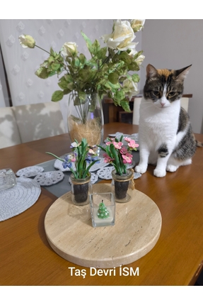 Taş Devri İSM Mermer sunumluk , yuvarlak 27 cm Traverten sunum tepsisi