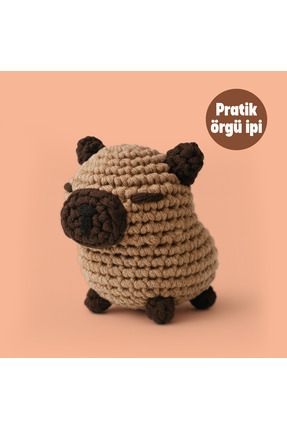 The Gookie Capybara Tığ Kiti Yeni Başlayanlar İçin Videolu Amigurumi Örgü Oyu...