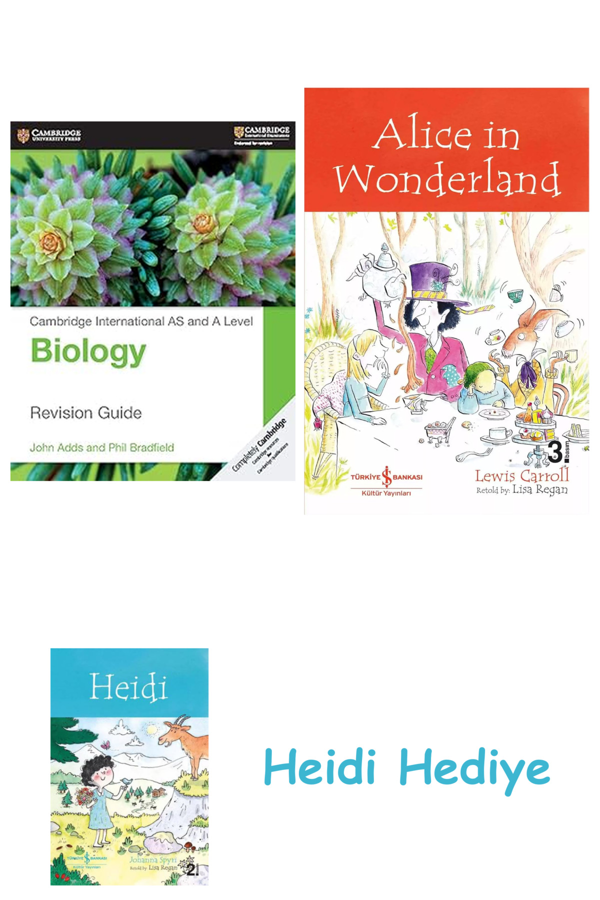 Bloomsbury Cambridge International AS and A Level Biology Revision ...