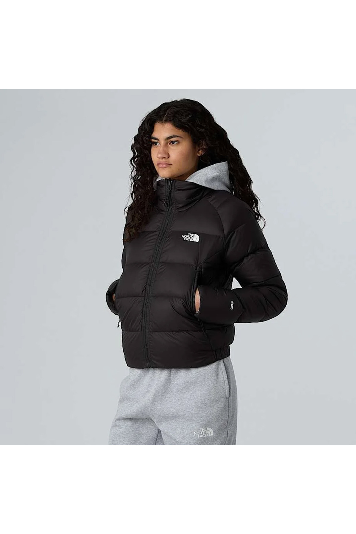 THE NORTH FACE Hyalite Down Kadın Siyah Outdoor Mont görsel 4