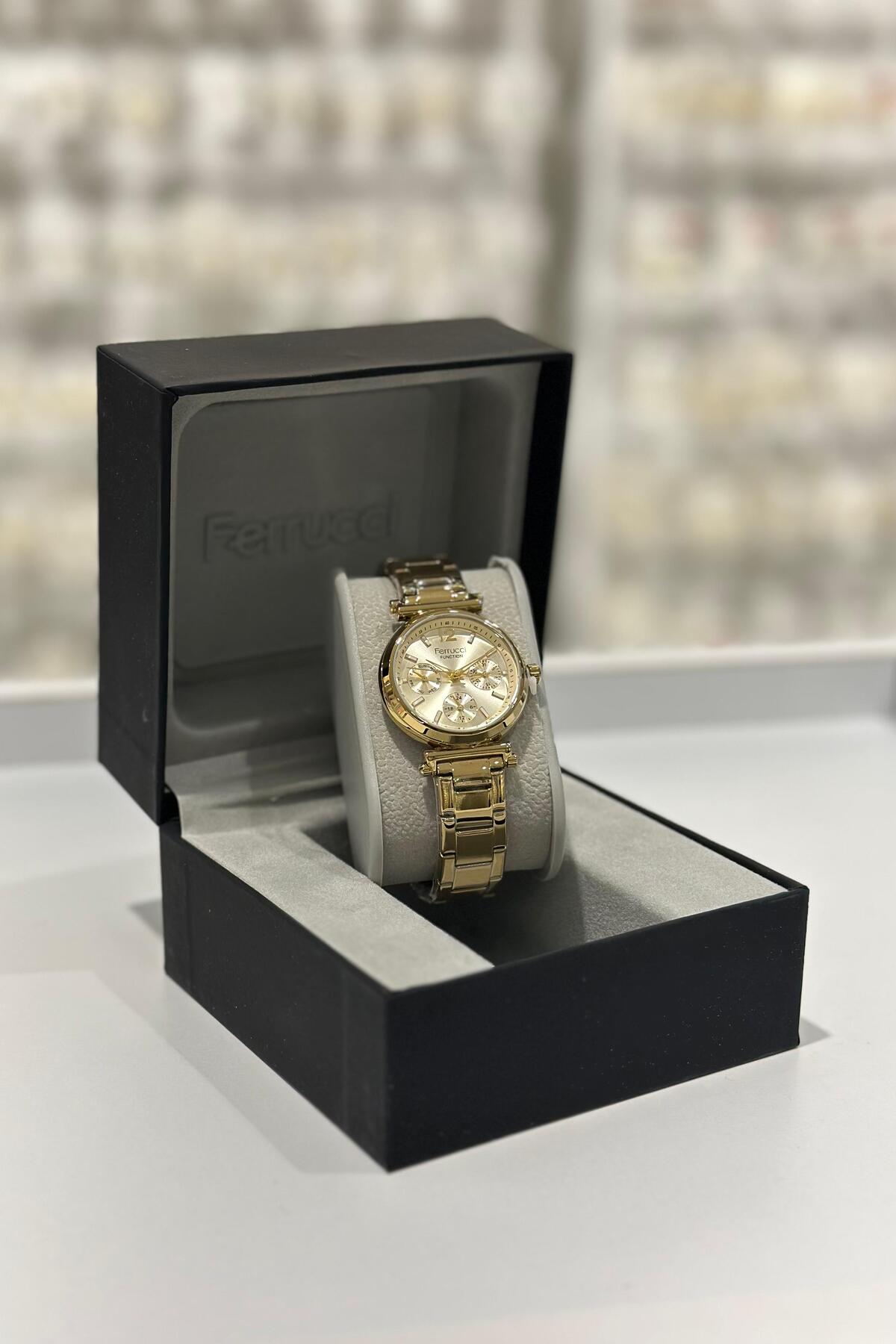 Ferrucci  Çelik Kordon Su Geçirmez Garantili Kadın Kol Saati - Görsel 5