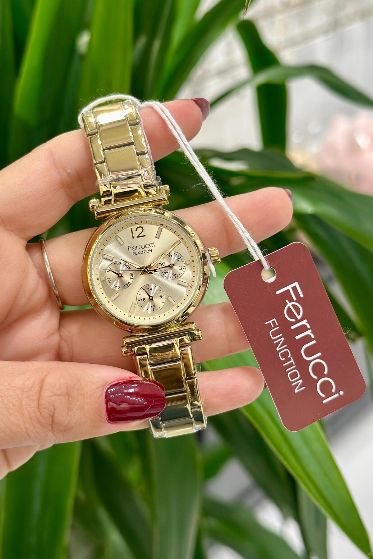 Ferrucci  Çelik Kordon Su Geçirmez Garantili Kadın Kol Saati