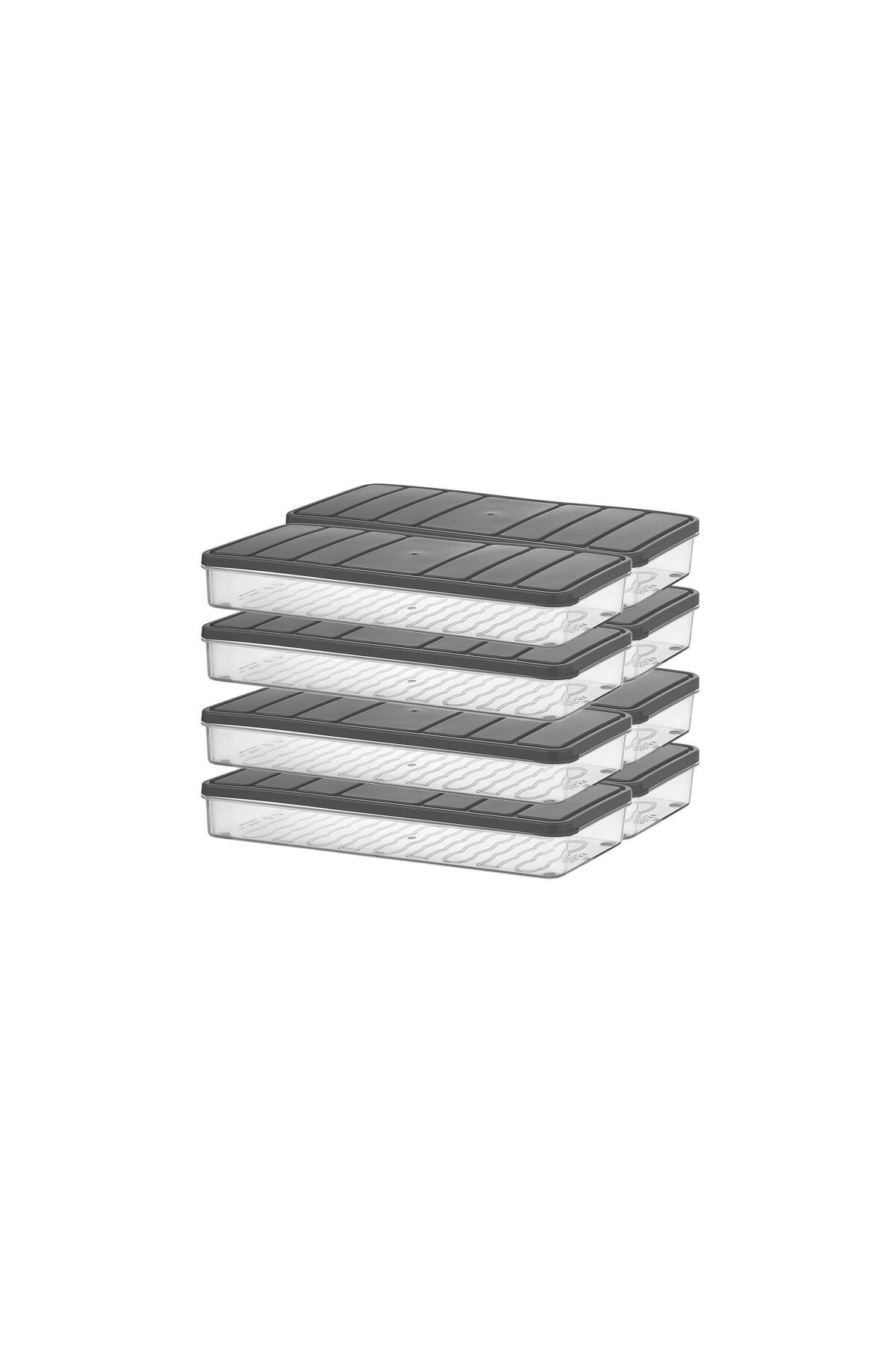 مجموعة تخزين نورا سعة 1.2 لتر مكونة من 8 قطع