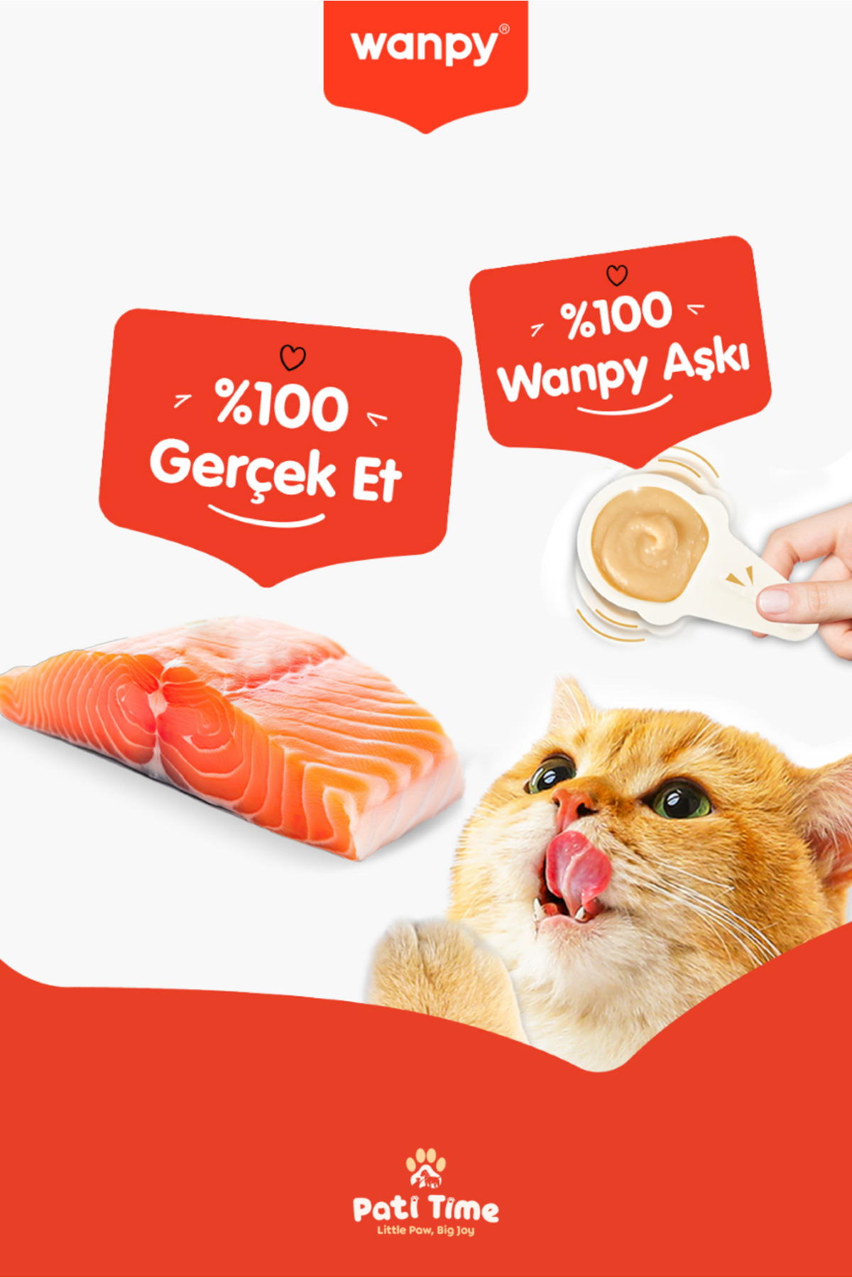 Wanpy 2li Set - Somonlu & Tavuklu Tahılsız Kaşıklı Kedi Ödül Kreması Kedi Ödülü 20 x 16gr fotoğrafı 4 (önizleme)
